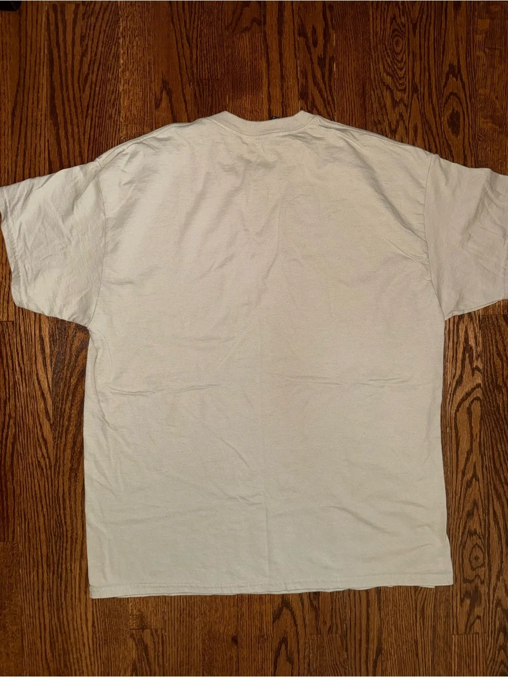 Gildan Cream Bronco Graphic Tee with Pink & Light Blue Art